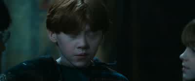 The Forest is not safe at this time. - Harry Potter and the Sorcerer's Stone