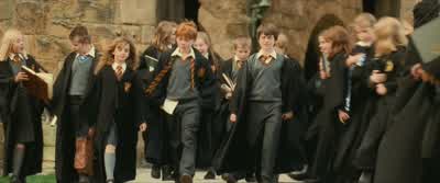 The Forest? - Harry Potter and the Philosopher's Stone
