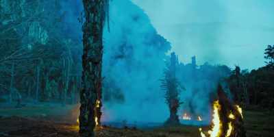 The formic acid they use to eat - Tremors: Shrieker Island