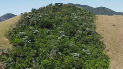The fragments
can still be sanctuaries, - The Green Planet