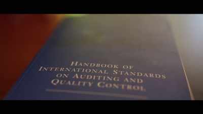 The fraud standard actually - Steinheist