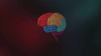- The frontal lobes, - The UnBelievable with Dan Aykroyd