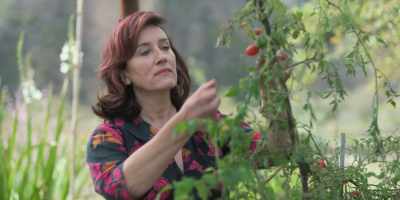 The fruitiness - Recipes for Love and Murder
