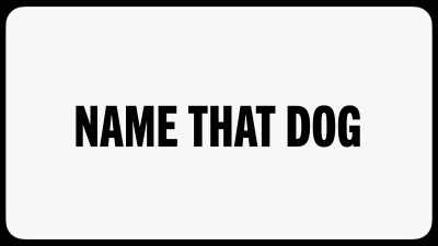 The game we're playing
today is Name That Dog. - Make Some Noise
