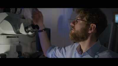 The gene drive will be fluorescent, - Unnatural Selection