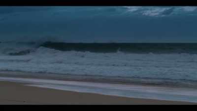 The gentle surf
whispered day and night. - Leopard Skin