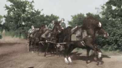 The Germans are forced 
to resort to animals - Greatest Events of World War II in Colour