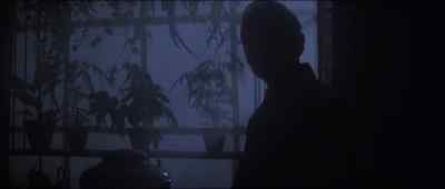 The Germans have collapsed. - A Bridge Too Far