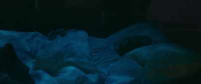 The Ghost of Christmas Present. - A Christmas Carol