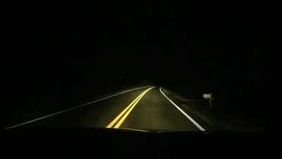 the-ghostly-chattahoochee-forest-late-at-night - Strange Evidence