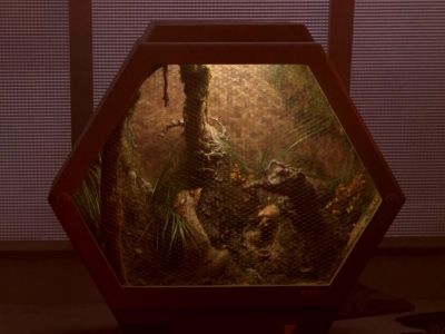 - The gilvos!
- There's no time. - Star Trek: The Next Generation