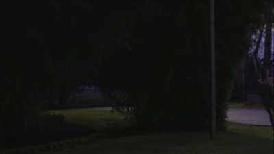 The girlfriend had escaped
from the guy. - The Way of the Psychonaut