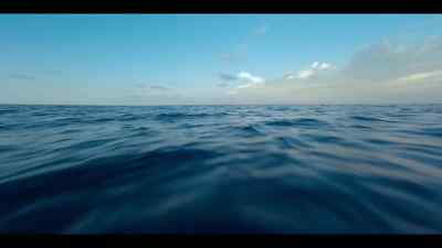 The global ocean current
powers away from the Americas - Our Oceans