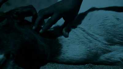 THE GOAT ATTACKS
SOUNDED VAMPIRIC, - Expedition Mungo