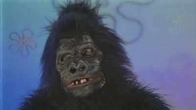 The gorilla, clearly
uncomfortable, - SpongeBob DocuPants