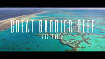 The Great Barrier Reef.
An Australian icon. - Envoy: Shark Cull