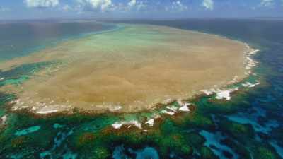 The Great Barrier Reef. - Blue Planet II