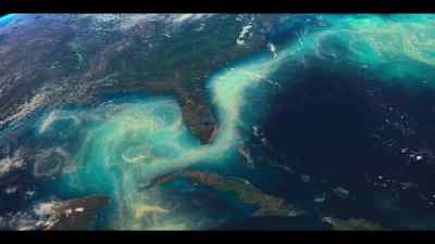 The great current is squeezed out
through a narrow gap, - Our Oceans