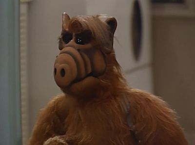     The great orange hunter - ALF