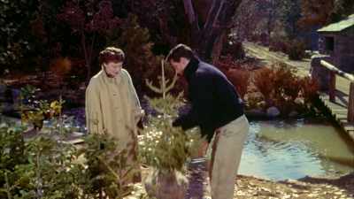 The great outdoors,
the things that grow - Rock Hudson: All That Heaven Allowed