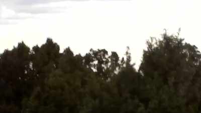 The great thing about
Nevada, wide open spaces. - Horror in the High Desert