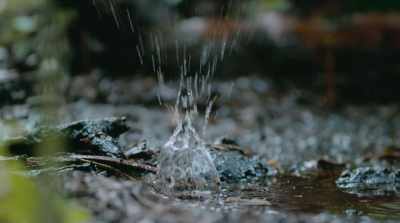 The greatest drought in living memory - Surviving Paradise: A Family Tale