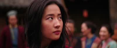 The green shoot has grown up to the skyand her ancestors celebrate herin the vault of the heavensThe girl became a soldierThe soldier became a leaderAnd the leaderbecame a legend - Mulan