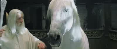 The Grey Pilgrim. - The Lord of the Rings: The Two Towers
