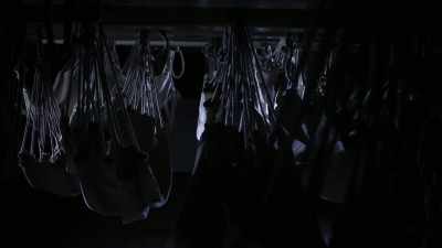 The hammocks were swaying
back and forth -- - The Holzer Files