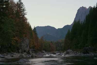 The harvest, as far as I could
tell, had remained relatively
constant, - Artifishal