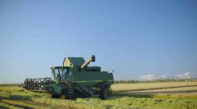 The harvest takes four weeks
in autumn, - World's Most Scenic River Journeys