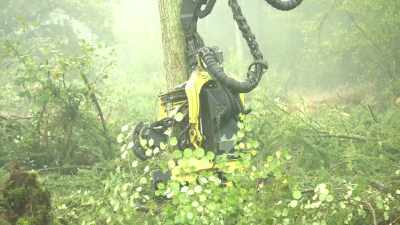 The harvester is
cutting down a huge tree. - Tractor Ted