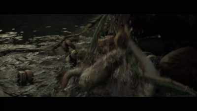The hawk watched from
the treetops and thought, - The King Tide