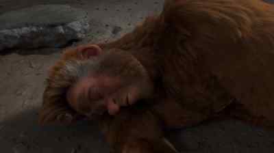 The healing touch, it all
goes with the territory. - Son of Bigfoot