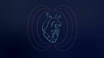 The heart's the largest source
of rhythmic electrical energy - The Way of Miracles