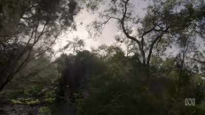 The 'heat death' - - Brian Cox: Life Of A Universe