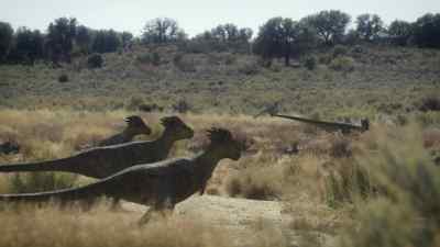 The herd is led by a large male. - Prehistoric Planet