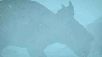 The herd should be safe
as long as they stick together. - Prehistoric Planet