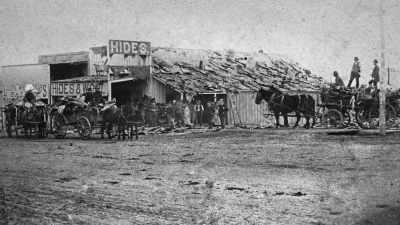 The hide hunters' trading posts
in Texas began closing. - The American Buffalo