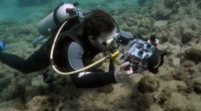 The hope is we can discover
the information that's - Mysteries of the Deep