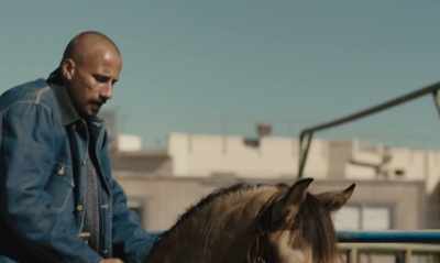 The horse needs to feel
you and him are in sync. - The Mustang