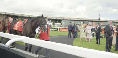 The horse racing
industry has been for decades - Quintessentially Irish