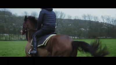 The horses
can be very fresh - Horsepower
