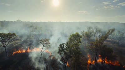 The hottest, most intense, - A Year on Planet Earth