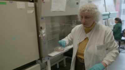 The human breast cancer cells. - Toxic Beauty
