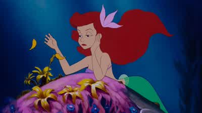 Ariel listen to meThe human world It's a messLife under the sea is better than anything they got up thereThe seaweed is always greener in somebody else's lakeYou dream about going up thereBut that is a big mistakeJust look at the world around youRight - The Little Mermaid