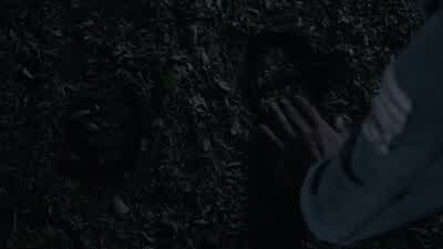 The hunter... - Teen Wolf