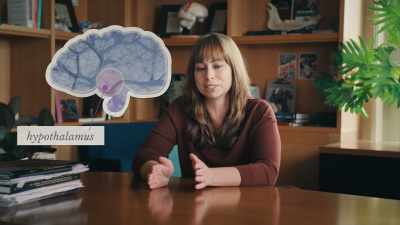 The hypothalamus is a brain region - Inside the Mind of a Dog