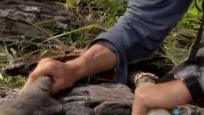 THE IDEA HERE IS, ALL OF THIS
DRY STUFF UNDERNEATH - Man vs. Wild