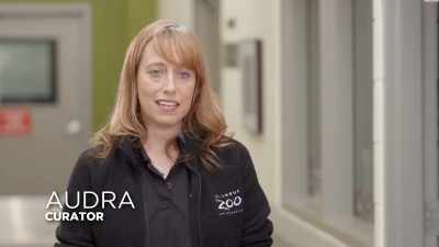 The idea that she
was able to go in - Secrets of the Zoo